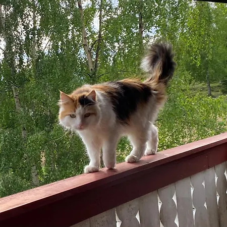 Asgardane Gjestegard Alojamento de Turismo Rural Gol