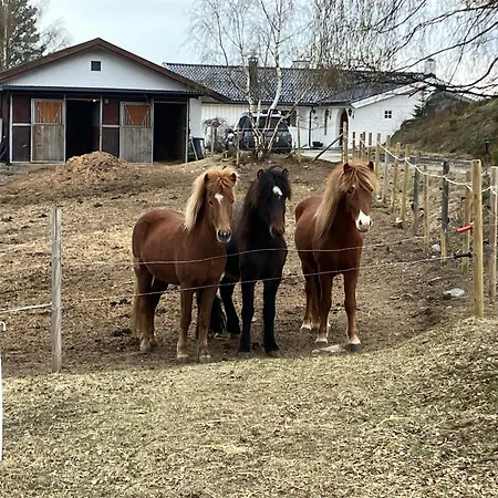 Asgardane Gjestegard 팜스테이 *