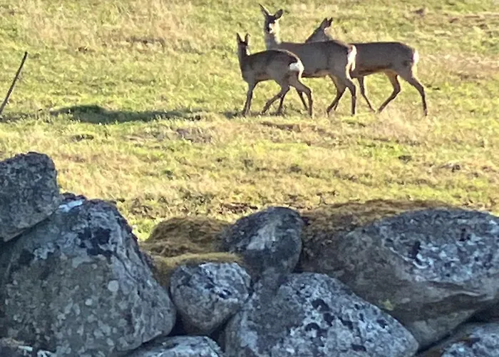 팜스테이 Asgardane Gjestegard