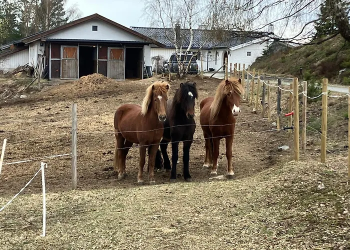 Asgardane Gjestegard Farma *